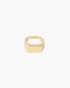 Anel Banhado a Ouro Axis Ring - Honman Oficial